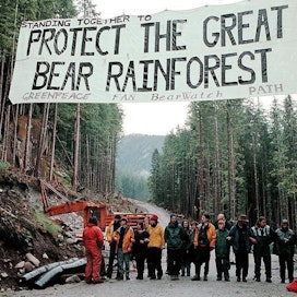 Greenpeace on kampanjoinut hakkuita vastaan Kanadassa. Kuva on vuodelta 1997.