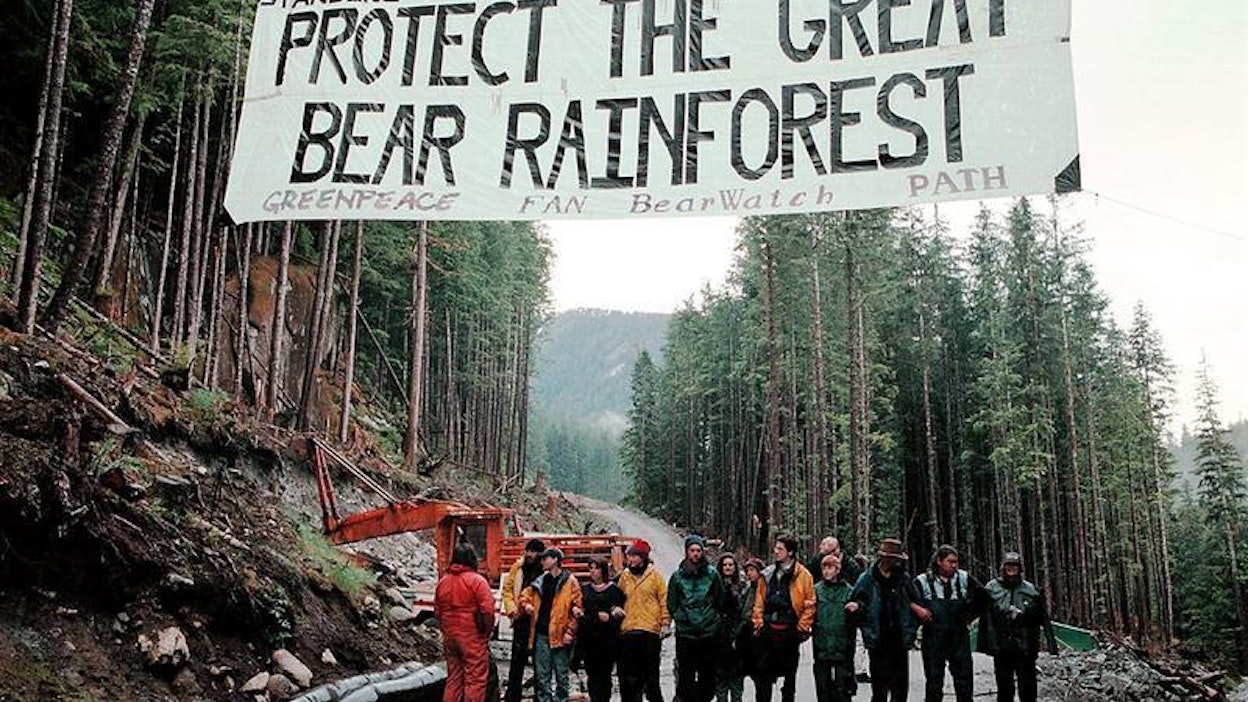 Greenpeace on kampanjoinut hakkuita vastaan Kanadassa. Kuva on vuodelta 1997.