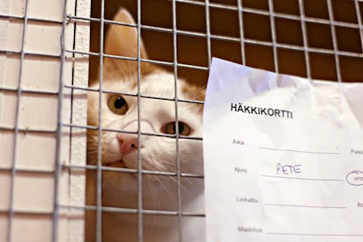 20110803 Päijät-Hämeen Eläinsuojeluyhdistyksen löytöeläintalo Lahden Jokimaassa.