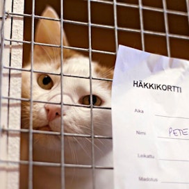 20110803 Päijät-Hämeen Eläinsuojeluyhdistyksen löytöeläintalo Lahden Jokimaassa.