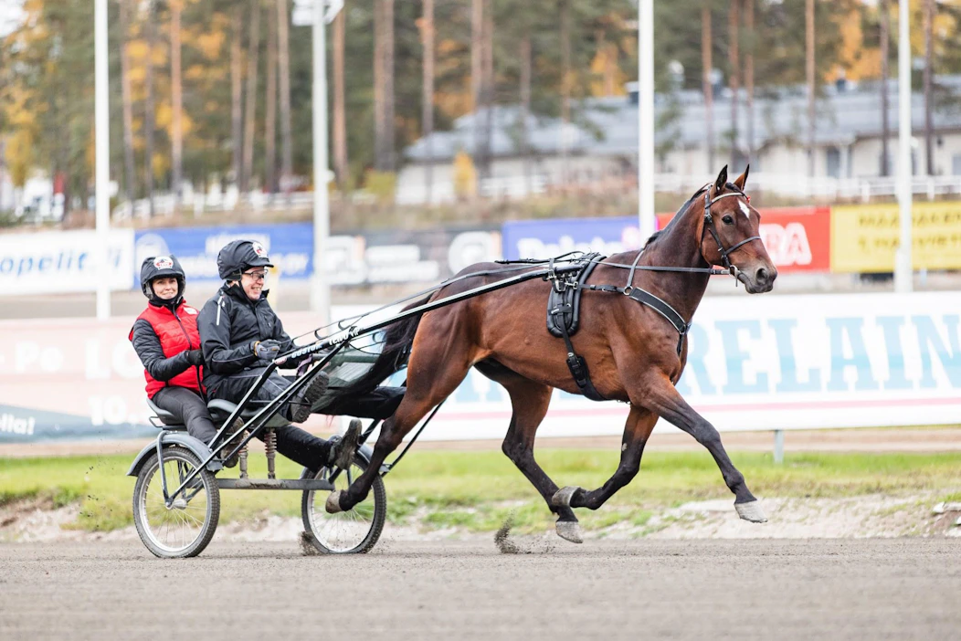 Ei ole riemulla rajaa, kun hyvällä hevosella ajaa! Minttu Mäkinen ja Earn n'Burn antavat ohjastusopetusta innokkaalle oppilaalle.