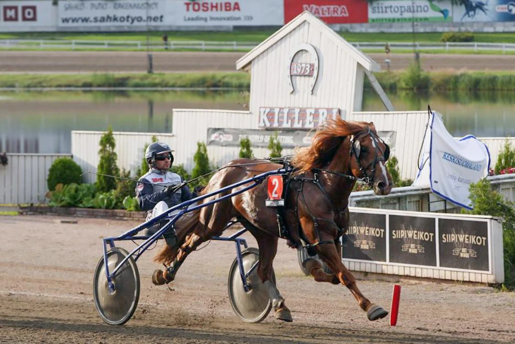 Jani Ruotsalaisen ajama Callex terävöityi lämmityksen jälkeen ja voitti Derby-karsinnan eleettömästi piikkipaikalta.