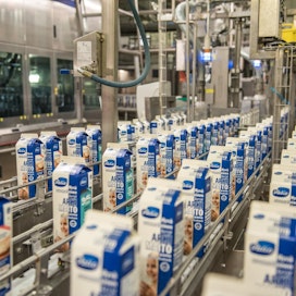 EU:n maitokiintiöiden poisto, Venäjä-pakotteet ja Aasian ostovoiman hiipuminen tekivät viime vuodesta Valiolle tukalan.