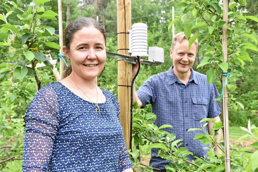 Paula Achrén on ollut tyytyväinen Farmiaisti-mittausasemien toimivuuteen omenatarhoillaan. Datasensen Jari Hakkarainen painottaa, että asemat mittaavat pelkän säätilan lisäksi sitä, mitä maassa ja kasvustossa oikeasti tapahtuu.