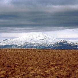 Islannin puusto ei ole viikinkien hakkuiden jälkeen toipunut. Nyt metsää on vain noin puoli prosenttia Islannin alueesta.