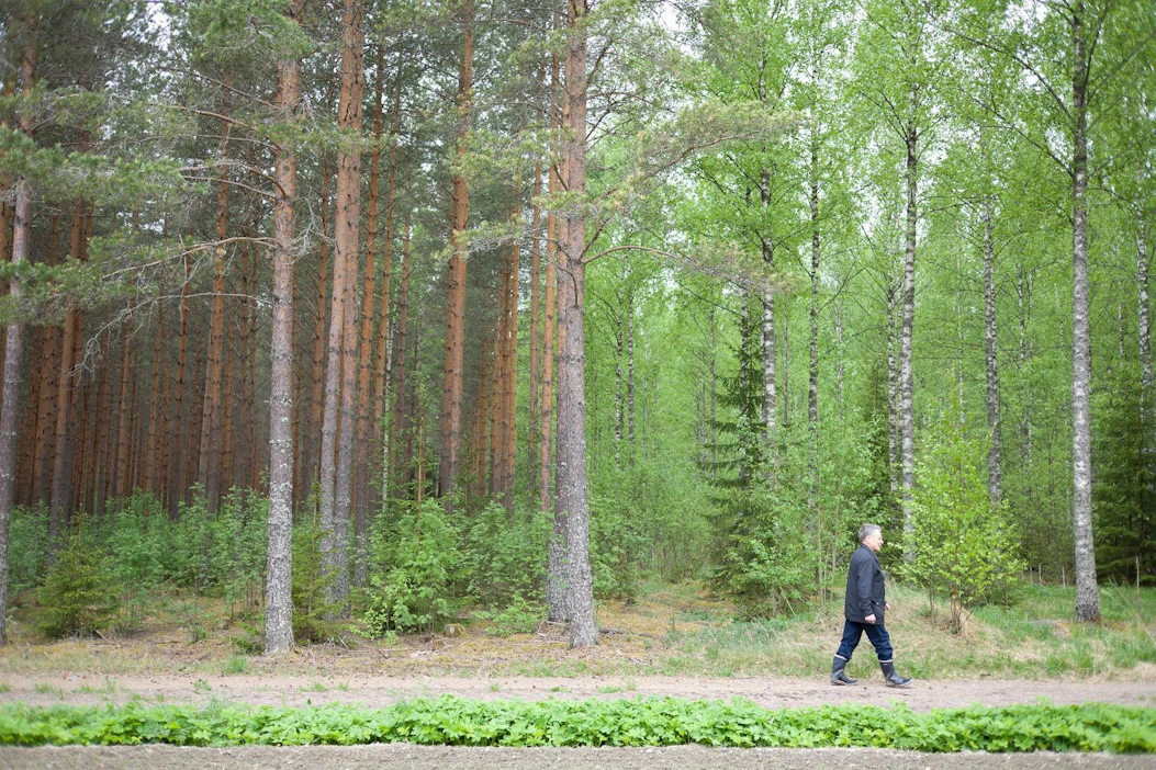 Täyttääkö oma metsä uuden lahjavähennyksen vaatimukset? Uusi laskuri auttaa selvitystyössä.