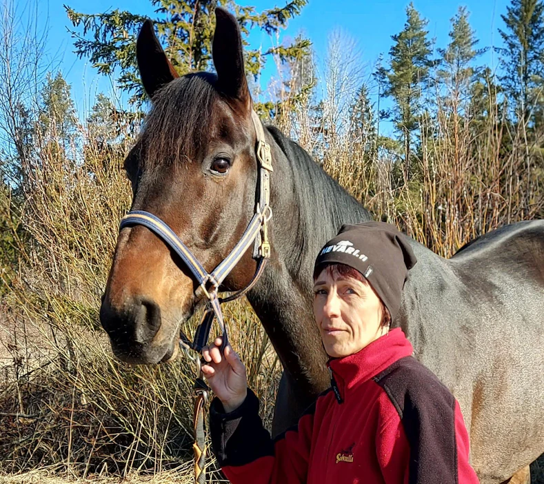 "Paavo" eli Barack la Marc ja Seija Myllyharju paistattelevat päivää Porin Pinomäessä ja tähyilevät kohti Teivoa.