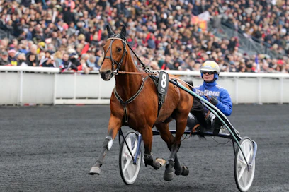 Björn Goopin ohjastama Readly Express on Finlandia-ajon suuri suosikki.