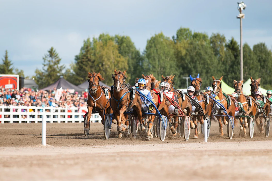Jokimaan Kuninkuusravit viime vuonna ja myös usein Suur-Hollolan viikonloppu on saatu ajaa suhteellisen hyvässä poutasäässä, mikä tarjoaa ratamestarille paremman mahdollisuuden kaviouran valmisteluun kuin vaihteleva sää.