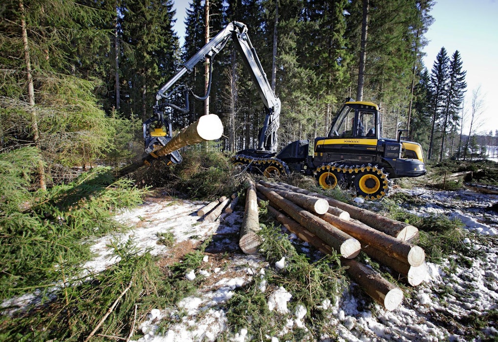 Metsäkoneenkuljettajista on pula, vaikka ammattibarometri toisin väittää –  Koneyrittäjien mielestä puurot ja vellit ovat menneet sekaisin - MT Metsä -  Maaseudun Tulevaisuus