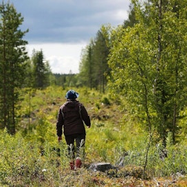 Tänä vuonna maastossa saattaa törmätä Eurostatille työskenteleviin maankäytön kartoittajiin. Suomessa kartoitettavista pisteistä suuri osa sijaitsee metsissä.