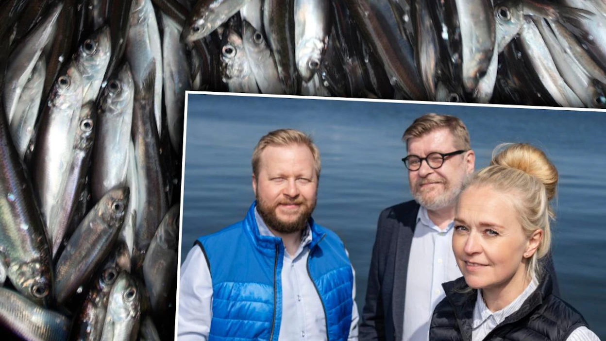 Topi Jurvanen (vas.), Michaela Lindström ja Otto Kaukonen uskovat kotimaisen villikalan mahdollisuuksiin.