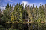 Yleiskaavoissa säädetään usein esimerkiksi ranta-alueiden käyttöä.