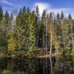 Yleiskaavoissa säädetään usein esimerkiksi ranta-alueiden käyttöä.