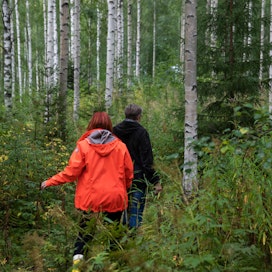 Metsään.fi-tavoitekyselyssä puuntuotantoa korostavat vastaajat osoittautuivat aktiivisimmiksi metsänomistajiksi.