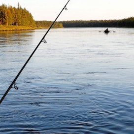 Lohen kalastusta Muoniojoen Pakamukassa. 13.8.2012 Muonio. Kuva Pekka Fali.