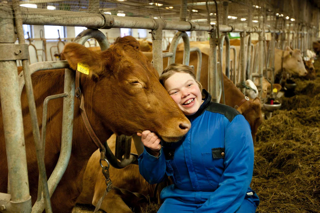 Eläinlääketieteen tohtori Ann-Helena Hokkanen on myös kangasniemeläisen Hulikan maitotilan emäntä. Tilan karja on kokonaan länsisuomenkarjaa.
