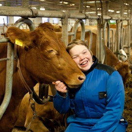 Eläinlääketieteen tohtori Ann-Helena Hokkanen on myös kangasniemeläisen Hulikan maitotilan emäntä. Tilan karja on kokonaan länsisuomenkarjaa.