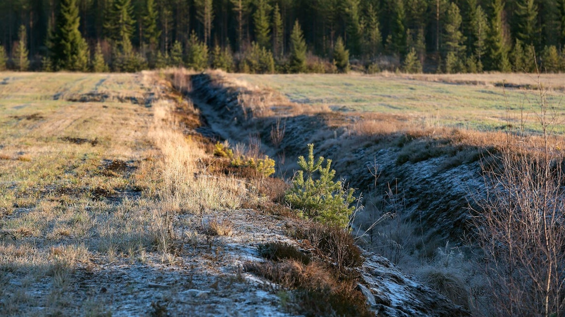 Eloperäisten maiden osuus peltomaasta on Pohjois-Pohjanmaalla 27 prosenttia.