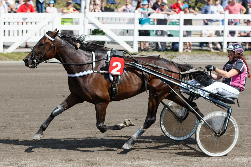 Luotettava Redemption on maanantaina lähdössään suuri suosikki. Pastor Stephenin pojalle heittävät haasteen Rapid Leader ja Ithinkiama Genius. Kimmo Aholan suojattia ohjastaa kuvassa Ayse Könec, Kuopiossa ruunan kärryillä on Santtu Raitala.