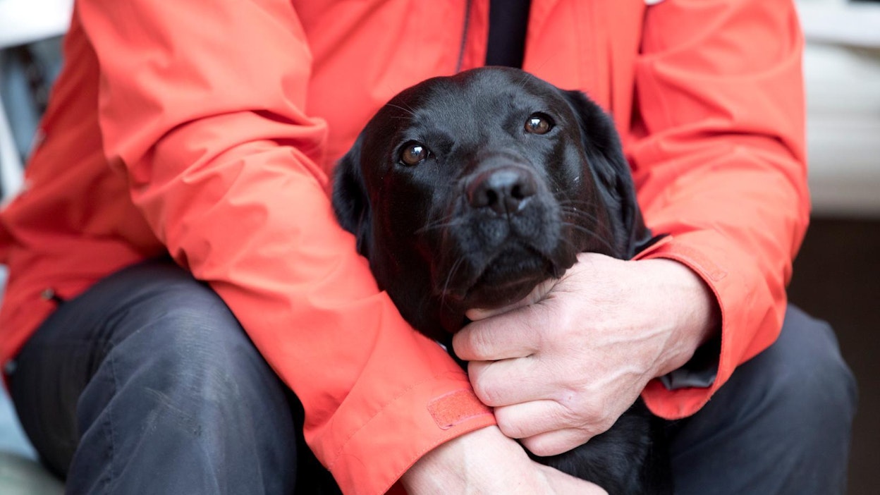 Eläinrakkaus on kirjattu ihmisen geeneihin.