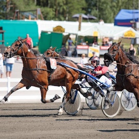 Kengittämisen lisäksi Tino Paldan ohjastaa Salamakypärät -sarjassa. Ensimmäisen voittonsa hän otti Hanna-Kaisa Kärkkäisen valmentaman Euro Boyn rattailla.
