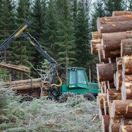 37 prosenttia Kuution käyttäjistä oli vuonna 2018 uusia metsänomistajia tai myyjiä, jotka tekivät ensimmäisen puukauppansa.