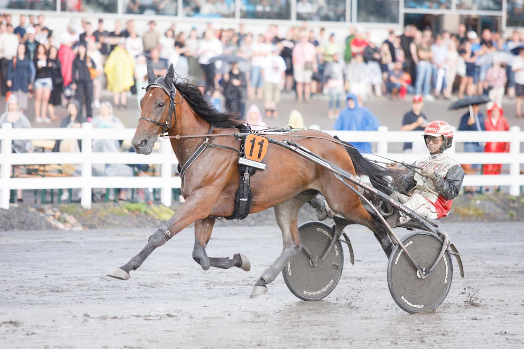 Iikka Nurmosen valmentama ja ohjastama Super Schissel on 65-vihjerivin varma.