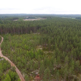 Varsinkin isot metsätilat kiinnostavat ostajia, arvioi toimitusjohtaja Jukka Pusa Länsi-Suomen Metsätilat Oy:stä.