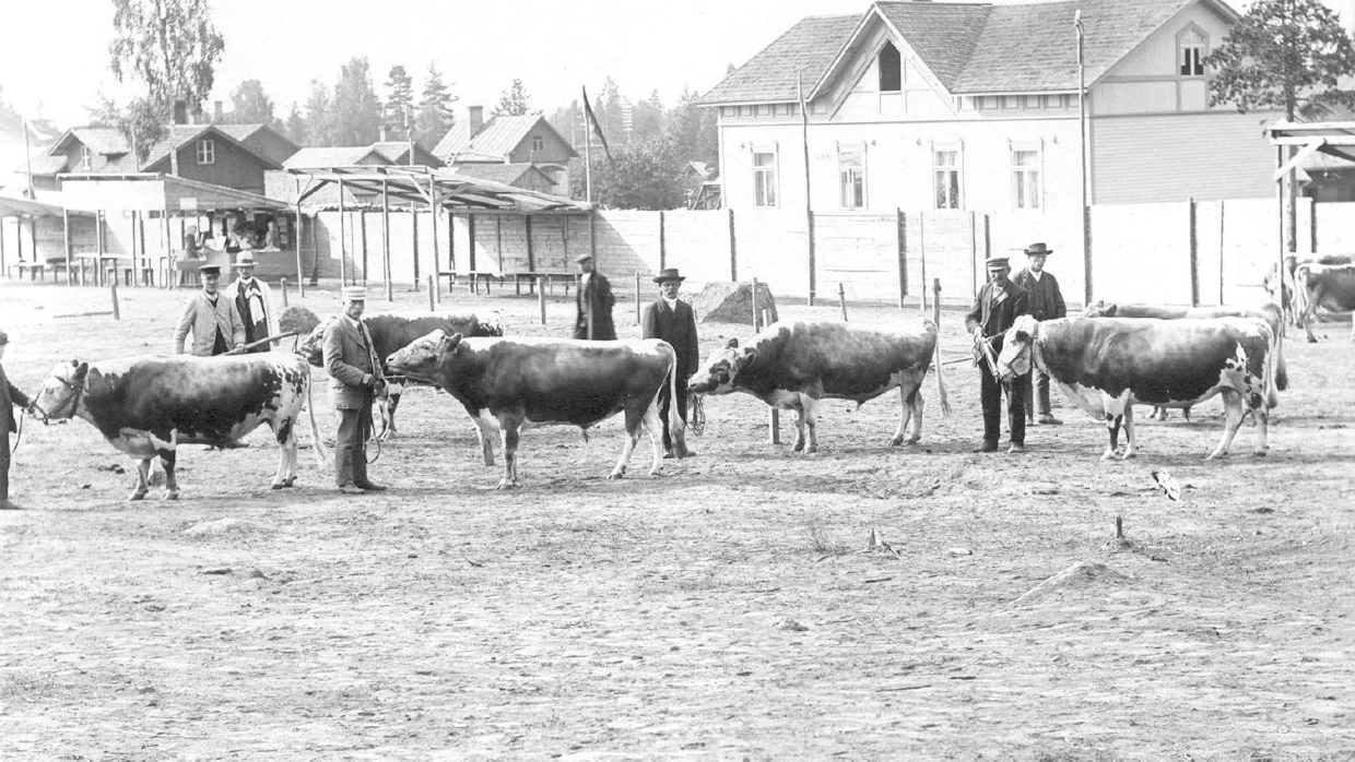 Mikkelissä pidettiin maatalousnäyttely 30.6.1910. Sukunimet alkoivat syntyä Mikkelin ympäristössä, kun väestö omaksui maanviljelyn ja alkoi kasvaa. Esimerkiksi Joroisissa ja Savonlinnassa väestö jatkoi vielä pitkään pyyntikulttuuria ja väestönkasvua saatiin odottaa.