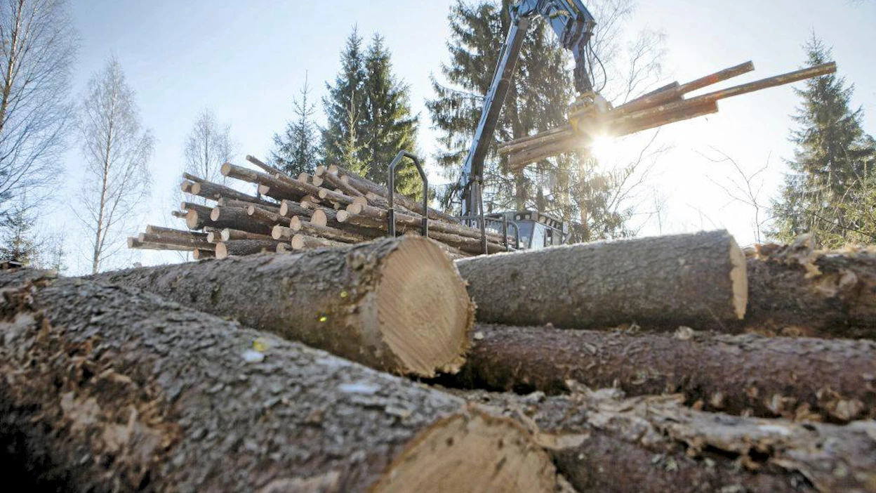 puu metsätalous hakkuu puupino