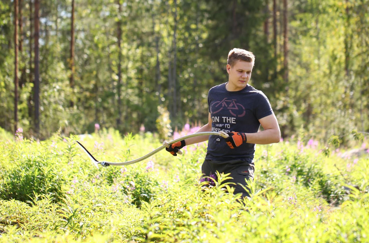 Rehevällä maapohjalla pintakasvillisuuden kilpailu voi olla runsasta.