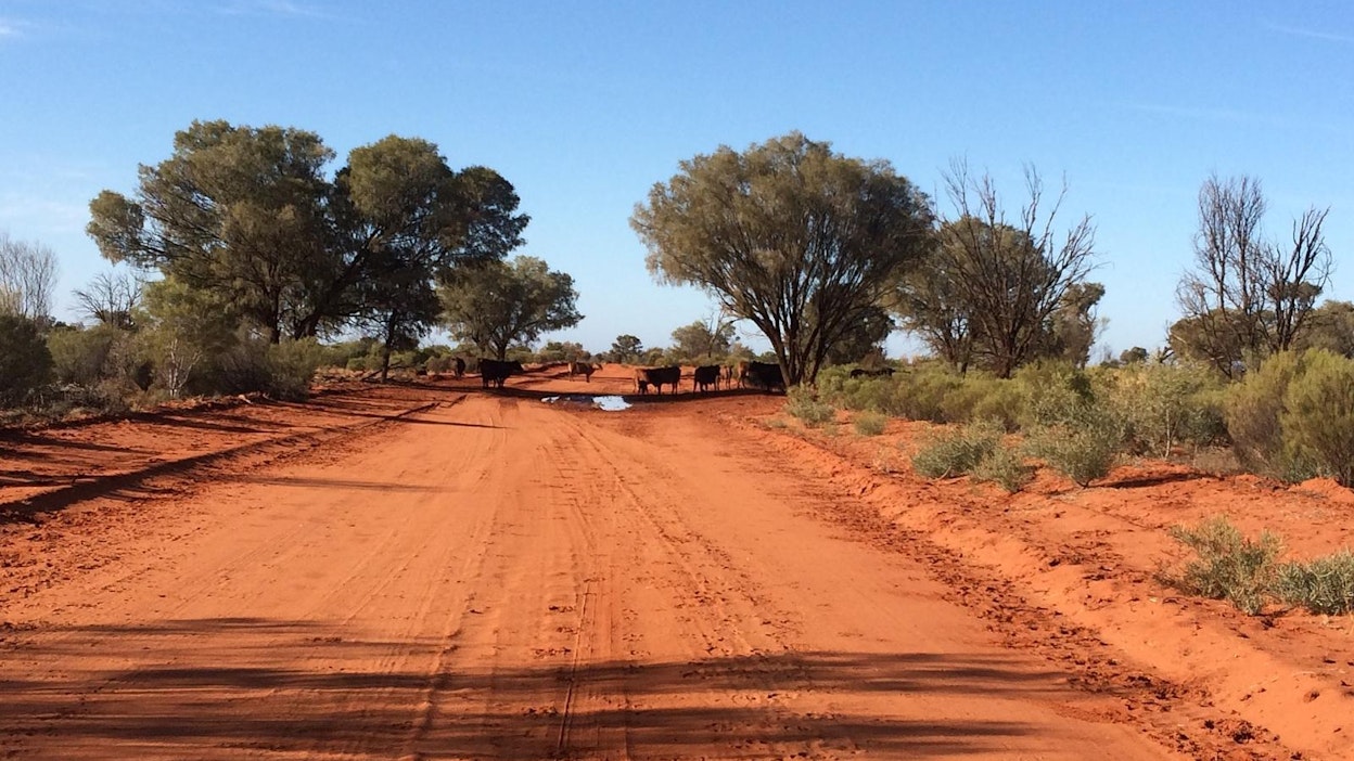 Kuivuus on tuiki tavallista Australiassa.