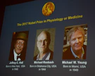 Amerikkalaiskolmikko jakaa lääketieteen Nobel-palkinnon. LEHTIKUVA/AFP