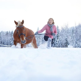 Henna Virkkunen kertoo blogissaan taipaleestaan hevosten kanssa. Menossa on mukana myös suomenhevostamma Sillan Valpuri.