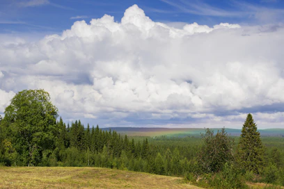 Elokuun puolivälissä Nurmeksen Valtimolla nähty sateenkaari ei ollutkaan kaareva vaan ennemmin tasainen värimatto metsän yllä.