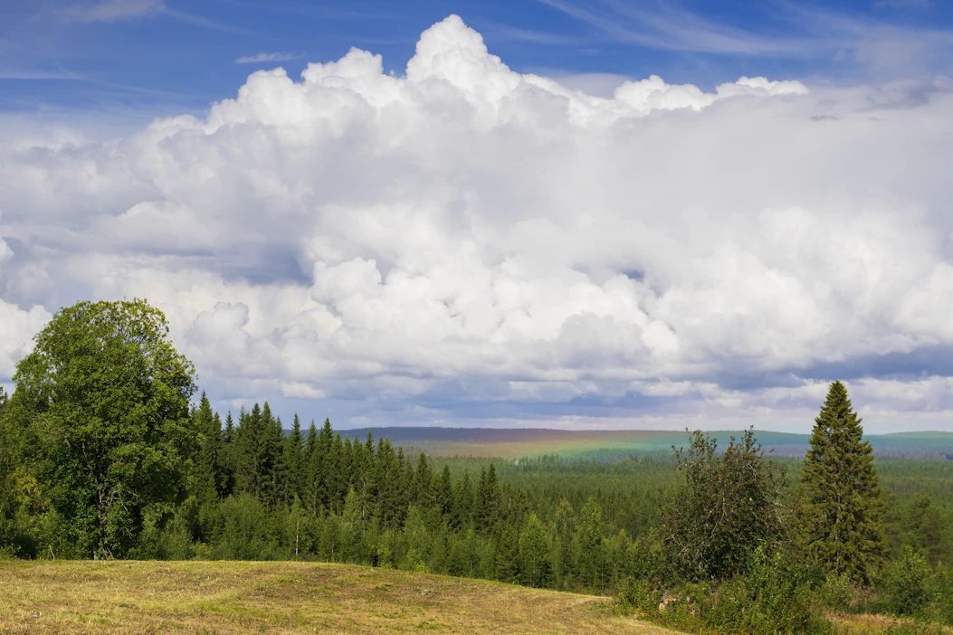 Elokuun puolivälissä Nurmeksen Valtimolla nähty sateenkaari ei ollutkaan kaareva vaan ennemmin tasainen värimatto metsän yllä.