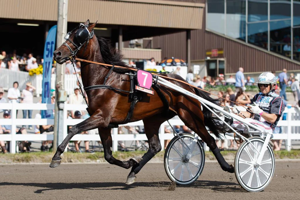 Toisen kohteen ideavarma Zinco Jet vieraili Mikkelissä vuonna 2019 tehden hurjan esityksen vain Graceful Swampille häviten.