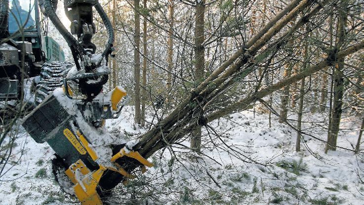 Kouran takaosan vastapainot rajaavat kallistuskulman noin 45 asteeseen. Sillä nippu kaatuu valittuun puuväliin vaivatta. Kourakasoista syntyy täysin kuormauskelpoisia, kun oksineen kaadetut rungot eivät vieri maahan iskeytyessään. Pakkasessa tiltin vajaakulmaisuus oli suorastaan etu. Voimalla alas asti painettu nippu olisi karsinut pystymäntyjen oksia kohtuuttoman paljon. Kuten taustalta näkyy, molemmat kuskit olivat siitä riskistä tietoisia. Työjälki oli hyvä.