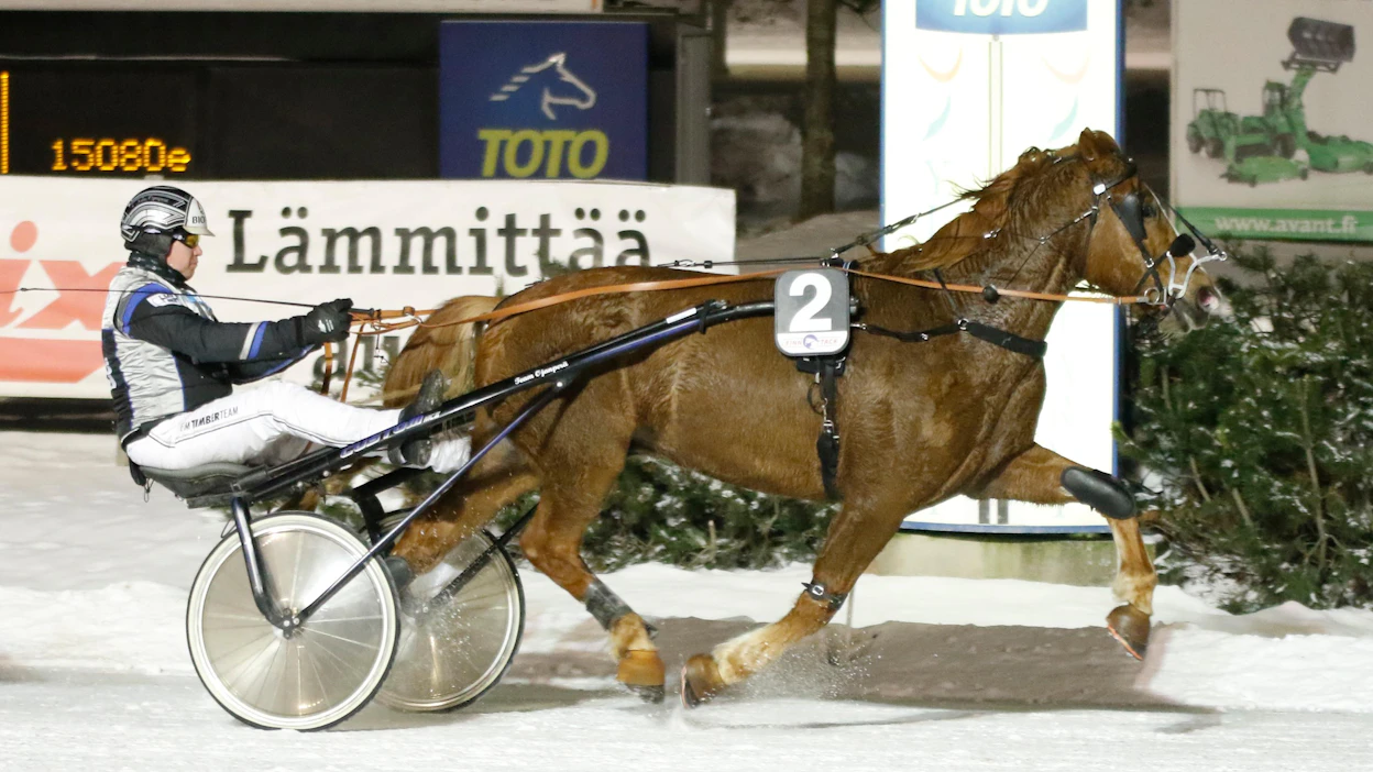 Antti Ojanperä tavoittelee Pelimanni-ajon voittoa Josveisilla. Samassa lähdössä on tallista myös Siirin Älli.