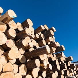Kuusitukista maksettiin viime viikolla keskimäärin 65,60, mäntytukista 61,99 ja koivutukista 44,89 euroa kuutiometriltä Metsäteollisuus ry:n puukaupoissa yksityismetsistä.