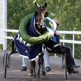 Moneen kertaa seppelöity ja monet ennätykset murskannut Passionate Kemp on sekä Kempin että Suomen hevoskasvatuksen eniten kilparadoilta ansainnut (liki 1,7 miljoonaa euroa) ravuri.
