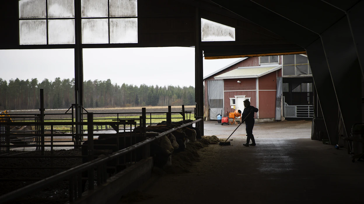 Maatilojen jaottelu ruokaa tuottaviin ja muihin tiloihin ei ole Pekka Pesosen mukaan mahdollista. Politiikan keinoin pyritään kuitenkin saamaan yhä useampi hehtaari ruuantuotantoon. Arkistokuva.