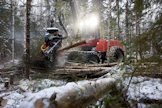 Kaksikymmentä vuotta sitten Valmet 911,3 oli iso metsäkone. Koneiden kasvaessa koko ajan suuremmiksi siitä on tullut suurien metsäkoneiden joukossa pieni.