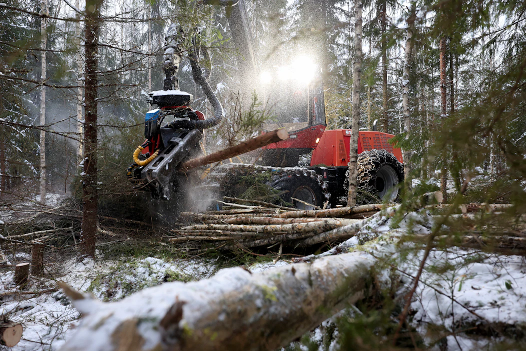 Kaksikymmentä vuotta sitten Valmet 911,3 oli iso metsäkone. Koneiden kasvaessa koko ajan suuremmiksi siitä on tullut suurien metsäkoneiden joukossa pieni.