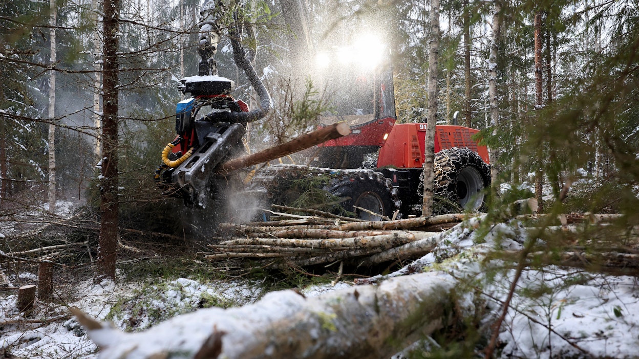 Kaksikymmentä vuotta sitten Valmet 911,3 oli iso metsäkone. Koneiden kasvaessa koko ajan suuremmiksi siitä on tullut suurien metsäkoneiden joukossa pieni.