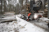 Puukauppa ja puunkorjuu kävivät viime vuoden syyspuolen säästöliekillä.