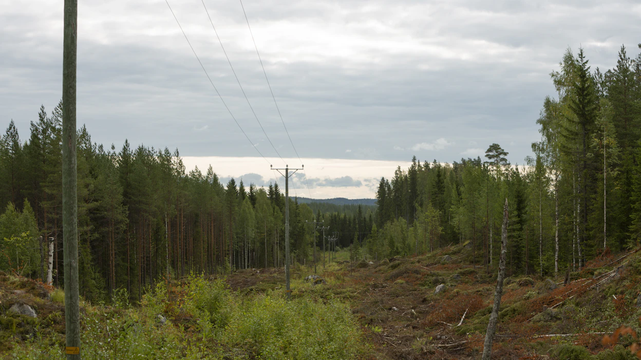 Sähkön siirto on kalleinta maaseudulla, kirjoittaja toteaa. Kuvituskuva.