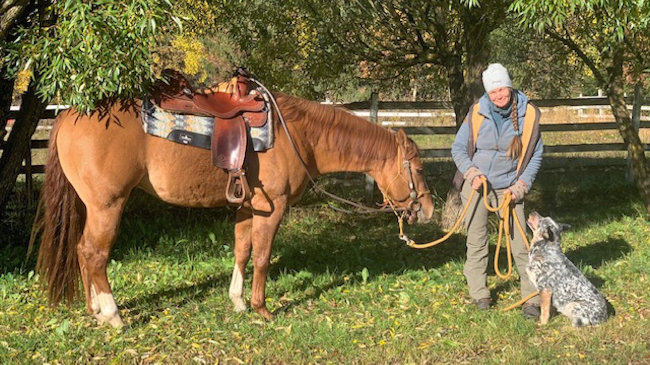 Katja Vanhatalo kasvattaa ja kouluttaa quarter-hevosia. Kuvassa on hänen kasvattinsa, 3-vuotias ori Pan Cue for your Imagination sekä kaikkialla vierellä kulkeva työkoira, australian karjakoira Suri.