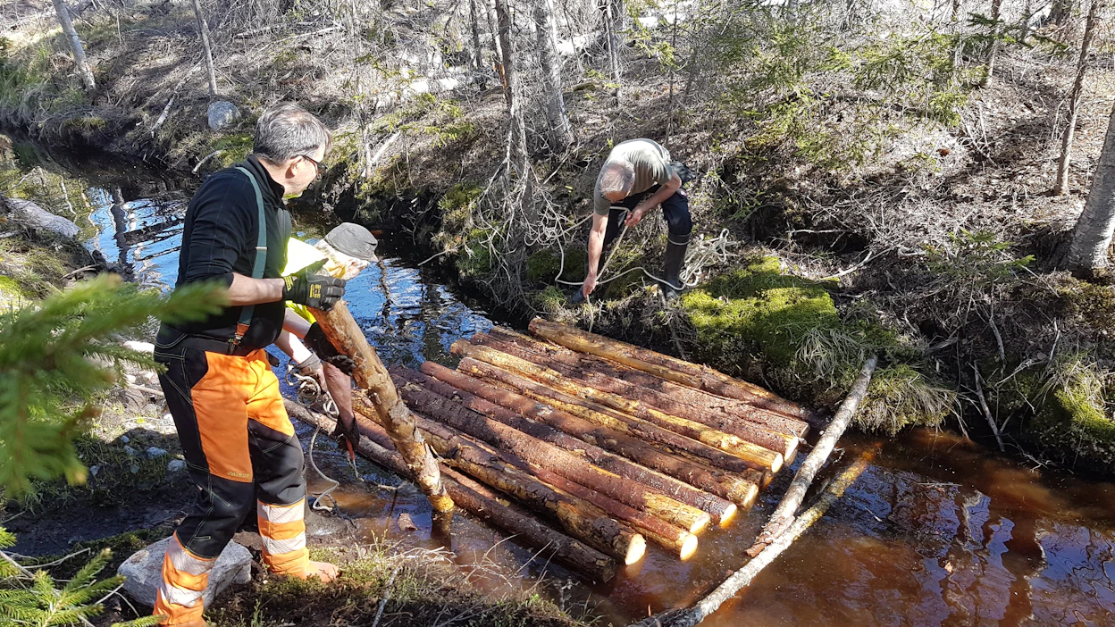 Puuaineksen lisääminen ojastoihin, vesiensuojelurakenteisiin ja pienvesiin voi vähentää merkittävästi vesistöihin kohdistuvaa kuormitusta.